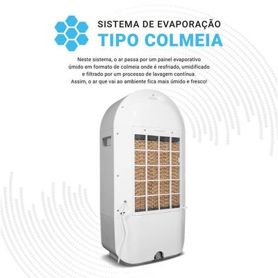 Climatizador De Ar Philco 22L 4 Em 1 100W PCL22A 110V