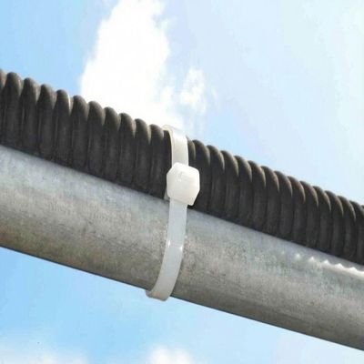 Abraçadeira De Nylon Foxlux 200x4.8mm Branca 100un