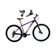 Bicicleta Aro 29 Absolute Nero 5 Alumínio 21v Câmbios Shimano Freio A Disco Mountain Bike Roxo Tam: 15