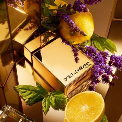 Perfume The One Pour Homme Gold Dolce&Gabbana Masculino Eau de Parfum Intense 50ml Incolor