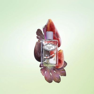 Prada Infusion De Figue Eau De Parfum - Perfume Feminino 100ml