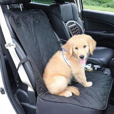 Cadeira Pet Portátil Dobrável Impermeável Para Carro Adultos Conforto Casa Banho