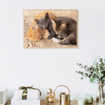 Kit 4 Quebra-cabeças De Gatos Fotos Inteligentes Diversão Inclusiva De 60 Peças