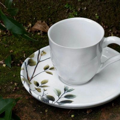 Conjunto De Xícara De Cafezinho Com Pires 06 Peças Bio Birdy Porto Brasil