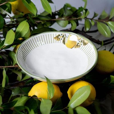 Conjunto De Pratos Fundos 06 Peças Bio Lemon Porto Brasil