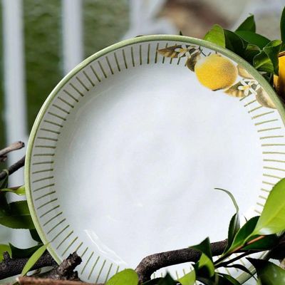 Conjunto De Pratos Fundos 06 Peças Bio Lemon Porto Brasil
