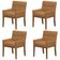 Kit 4 Cadeiras Para Mesa De Jantar Angel Base Madeira Corano Caramelo - Nexta Casa