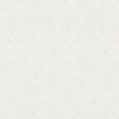 Papel de Parede New Textures Textura Branco NT32437