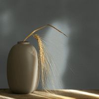 17201474808314