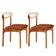 Conjunto 2 Cadeira De Jantar Noronha Premium Moderna Mobília Star Puce/imbuia Natural