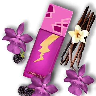Animale Sexy Eau De Parfum - Perfume Feminino 100ml Animale Sexy Eau De Perfume - Perfume Feminino 100ml