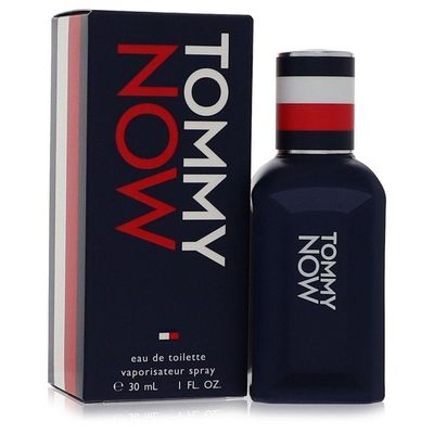 Perfume Masculino Tommy Hilfiger 30 Ml Eau De Toilette