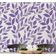 Papel de Parede Trilha de Folhas Roxas, Botânico Minimalista Autoadesivo Vinílico, Decoração Faça Você Mesmo para Quarto e Sala - S4Sassy 63,5 cm (L) × 914,4 cm (C) / Roxo - Vinil Texturizado