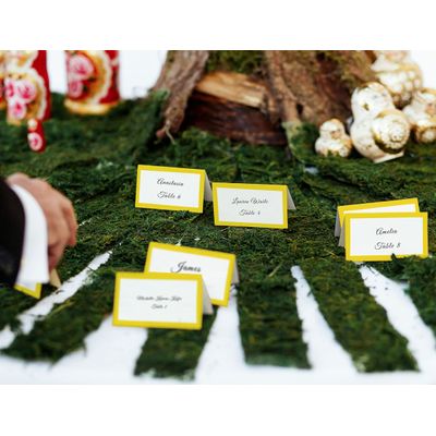 Pacote com 24 Cartões Tipo Tenda Sólidos para Mesa, Cartões de Lugar para Casamento, Ação de Graças, Natal, Buffet (Amarelo) - Inkdotpot 10,16 Cm × 8,89 Cm / Amarelo