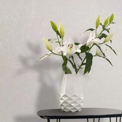 Papel de Parede Sheilas Textura Branco 34517