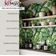Papel de Parede Tropical Folhas de Monstera Verde, Vinil Autoadesivo, Revestimento Decorativo Fácil DIY para Quarto e Sala - S4Sassy 63,5 cm (L) × 914,4 cm (C) / Verde - Vinil Liso