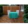 Toalha de Mesa Redonda 147 cm Int./Ext. com Furo para Guarda-Sol Impermeável para Pátio Primavera/Verão Verde Turquesa - Vargottam 147,32 Cm × 147,32 Cm – Com Furo Para Guarda-Sol / Verde
