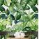 Papel de Parede Monocromático de Folhas Tropicais Verde, Vinil Autoadesivo, Revestimento Decorativo DIY para Quarto e Sala - S4Sassy 63,5 cm (L) × 914,4 cm (C) / Verde - Vinil Texturizado
