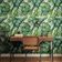 Papel de Parede Folha de Monstera Verde, Vinil Autoadesivo Decorativo, Fácil Aplicação para Quarto e Sala de Estar - S4Sassy 63,5 cm (L) × 304,8 cm (C) / Verde - Vinil Texturizado