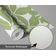 Papel de Parede Vinílico Autoadesivo Folhas Pontilhadas À Prova D'Água - Verde, Removível para Quartos, Inquilinos e Armários - S4Sassy 63,5 cm (L) × 914,4 cm (C) / Verde - Vinil Texturizado