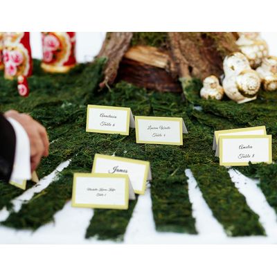 Pacote 24 Cartões Tenda Sólidos para Mesa, Casamento, Ação de Graças, Natal, Buffet, Cartões de Nome (Amarelo Claro) - Inkdotpot 10,16 Cm × 8,89 Cm / Amarelo