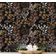 Papel de Parede Vinílico Autoadesivo Botânico Vintage Floral Marrom, Revestimento Decorativo Fácil DIY para Quarto e Sala - S4Sassy 63,5 cm (L) × 914,4 cm (C) / Marrom - Vinil Texturizado