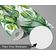 Papel de Parede Folha de Monstera Verde, Vinil Autoadesivo Decorativo, Fácil Aplicação para Quarto e Sala de Estar - S4Sassy 63,5 cm (L) × 609,6 cm (C) / Verde - Vinil Liso