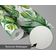 Papel de Parede Folha de Monstera Verde, Vinil Autoadesivo Decorativo, Fácil Aplicação para Quarto e Sala de Estar - S4Sassy 63,5 cm (L) × 914,4 cm (C) / Verde - Vinil Texturizado