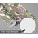 Papel de Parede Autoadesivo Removível Verde com Folha de Palmeira Tropical para Quarto, Banheiro, Lavanderia e Closet - S4Sassy 63,5 cm (L) × 152,4 cm (C) / Verde - Vinil Liso