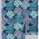 Papel de Parede Vinílico Autoadesivo Ombre Palmeira Tropical Impermeável Roxo - Removível para Quartos, Salas, Locação e Armários - S4Sassy 63,5 cm (L) × 609,6 cm (C) / Roxo - Vinil Texturizado