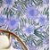 Papel de Parede Floral Hibisco Tropical Azul, Vinílico Autoadesivo, Revestimento Decorativo Fácil de Aplicar para Quarto e Sala - S4Sassy 63,5 cm (L) × 152,4 cm (C) / Azul - Vinil Liso
