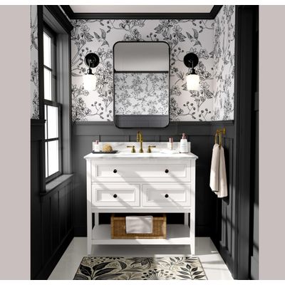 Papel de Parede Autoadesivo Preto com Pássaros e Libélulas, Vinil Removível para Parede de Entrada, Solução Fácil - S4sassy 63,5 cm (L) × 304,8 cm (C) / Preto - Vinil Liso