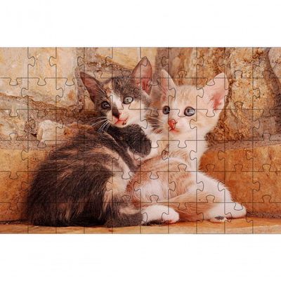 3 Quebra-cabeças De Belos Gatos E Filhotes De 40 Peças