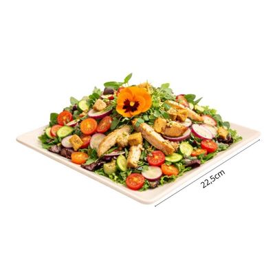 Jogo 12 Pratos Plásticos Quadrados 22,5cm Saladas Aperitivos Sobremesa Restaurantes Buffet Ou Bege