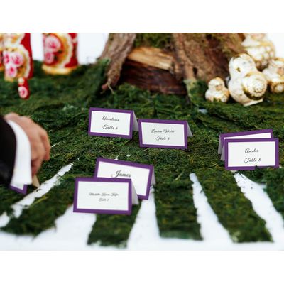 Pacote com 24 Cartões Tenda Sólidos para Casamento, Ação de Graças, Natal, Catering e Buffet - Cartões de Nome (Roxo) - Inkdotpot 10,16 Cm × 8,89 Cm / Roxo
