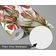 Papel Vinílico Autoadesivo Folha de Monstera Vermelha, Adesivo Decorativo para Parede, Cobertura DIY Fácil para Quarto e Sala - S4Sassy 63,5 cm (L) × 914,4 cm (C) / Vermelho - Vinil Texturizado
