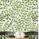 Adesivo de Parede Removível Impermeável Estampa Botânica Vermelho/Cinza, Papel Contact Vinílico Autoadesivo - Verde - S4sassy 63,5 cm (L) × 152,4 cm (C) / Verde - Vinil Liso