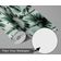 Papel de Parede Monocromático Folhas de Palmeira Verdes Vinílico Autoadesivo, Decoração DIY Fácil para Quarto e Sala - S4Sassy 63,5 cm (L) × 304,8 cm (C) / Verde - Vinil Liso