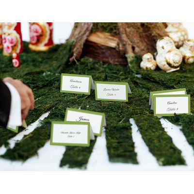 Pacote com 24 Cartões Tenda Sólida para Mesa  Casamento, Ação de Graças, Natal, Buffet  Cartões com Nome (Verde Pera) - Inkdotpot 10,16 Cm × 8,89 Cm / Verde