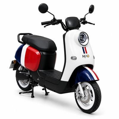 BICICLETA ELÉTRICA RETRÔ FRANÇA