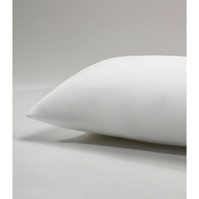 Travesseiro Suporte Firme Antimicrobiana Altenburg Branco UN / Branco