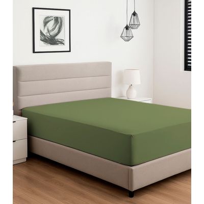 Lençol Liso Queen Com Elástico Vivaldi Verde UN / Verde