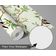 Papel de Parede Autoadesivo Mural Estampa Pássaro Verde e Galho para Parede de Entrada e Decoração de Escritório, Solution - S4sassy 63,5 cm (L) × 914,4 cm (C) / Verde - Vinil Liso