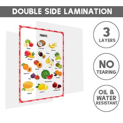 Traceease Pôsteres Educativos Laminados para Fundamental, Pacote c/25, Mapas EUA/Mundo, Sistema Solar, Matemática e Mais - IBA Crafts 21,59 Cm × 27,94 Cm / Multicolorido