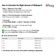 Papel de Parede Vinílico Adesivo Removível, Folhas Retrô Chic, Impermeável, para Quarto e Sala - S4Sassy 63,5 cm (L) × 914,4 cm (C) / Marrom - Vinil Liso