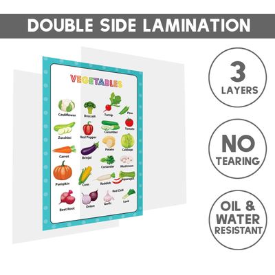Traceease 25 Pôsteres Laminados p/ Fundamental — Mapas EUA/Mundo, Sistema Solar, Matemática + p/ Sala, Ensino em Casa, Quarto - IBA Crafts 27,94 Cm × 43,18 Cm / Multicolorido
