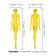 Kit 2 Moldes Traceease Figura Humana Feminina Frontal e Posterior para Ilustração, Estudos de Proporção e Apoio ao Desenho - Inkdotpot 30,48 Cm / Amarelo