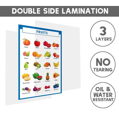 Pôster Educacional Traceease para Ensino Fundamental, c/ 25 Laminados Infantis: Mapas EUA e Mundo, Sistema Solar, Matemática - IBA Crafts 21,59 Cm × 27,94 Cm / Multicolorido