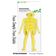 Conjunto de 2 Estênceis de Figura Feminina Frente e Verso para Alinhamento de Proporções, Planejamento de Esboço e Referência - Traceease 30,48 Cm / Amarelo