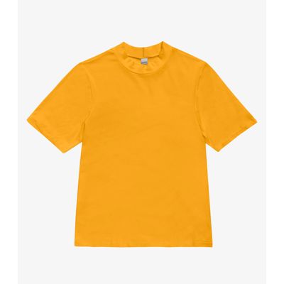 Blusa Feminina Básica em Malha Visco Rovitex Amarelo P / Amarelo